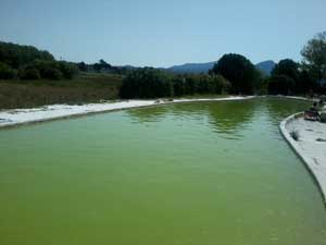 Al Bullicame Acqua Verde E Stagnante Tusciaweb Eu