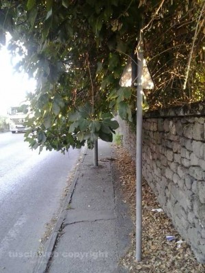 Viterbo - Via Villanova
