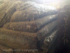 Escrementi di piccione a palazzo dei Priori 