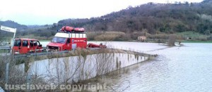 Tevere - Borghetto - Zona Frangellini