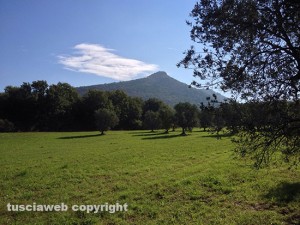 La Palanzana