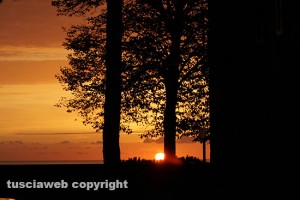 Tarquinia - Tramonto tra gli alberi