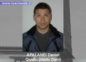 Daniel Apalanei