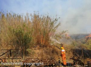 Montalto di Castro - Nuovo incendio vicino l'Aurelia