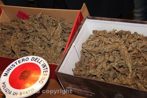 Viterbo - Operazione antidroga della mobile