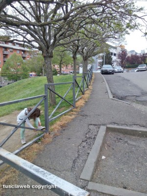 Viterbo - I giardini in via Carlo Cattaneo