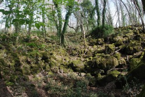 Farnese - Selva del Lamone