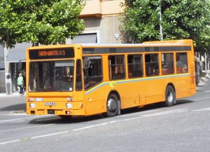 Viterbo - Un bus Francigena