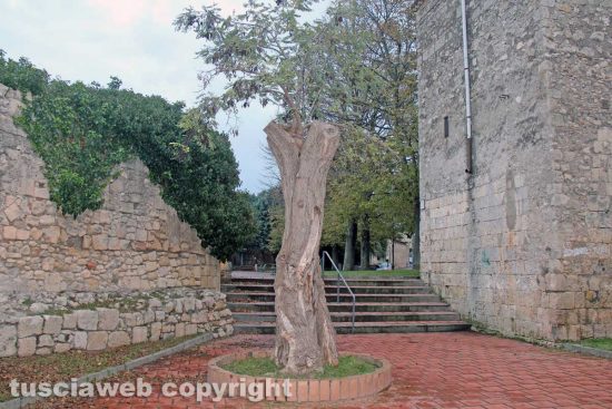 Tarquinia - Il giardino della Ripa