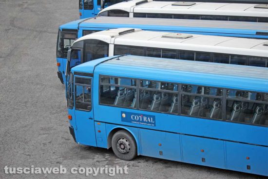 Viterbo - Alcuni bus Cotral a Riello