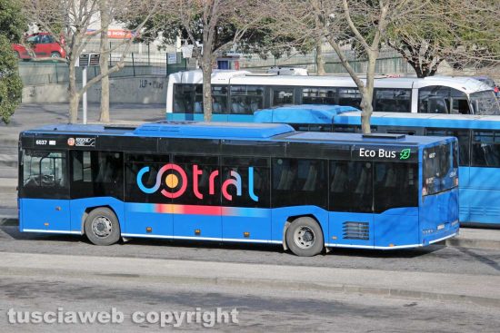 Un bus Cotral