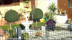 Tuscania - La presunta falsa cieca cura il giardino