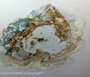 Perdita acqua dal soffitto