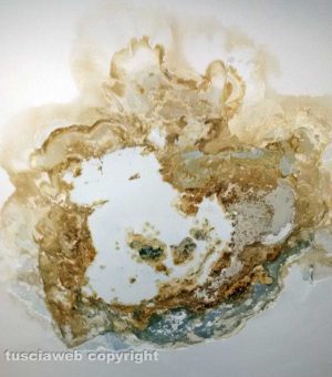 Perdita acqua dal soffitto