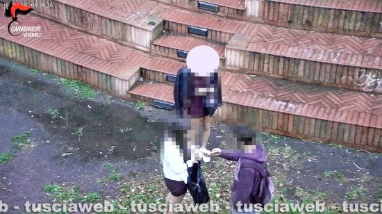 Montefiascone - Le immagini realizzate ed elaborate dai carabinieri dell'operazione Giardinetti