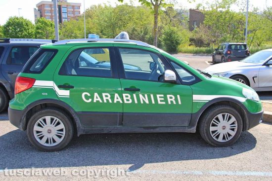 Carabinieri forestali