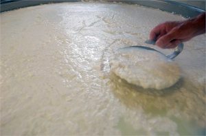La lavorazione del latte
