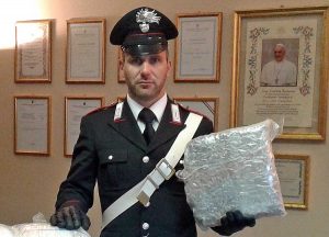 Tuscania - 64 chili di marijuana in un casale - La droga sequestrata