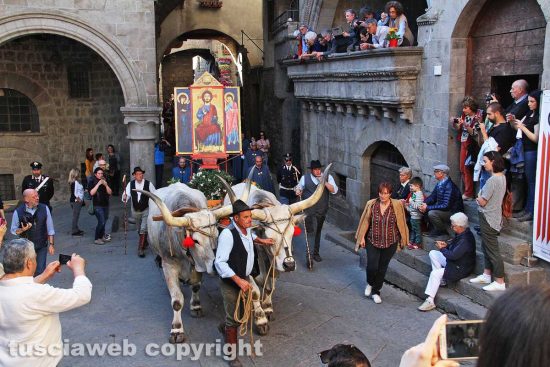 Viterbo - La processione del santissimo Salvatore