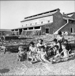 Viterbo anno 1958 località Vaccareccia - Famiglia davanti allo stabilimento di essicazione del tabacco - Foto di proprietà dell'Istituto Luce Cinecittà di Roma - Vietata la riproduzione
