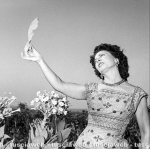 Viterbo anno 1958 località Vaccareccia - Bianca Maria Hubner ammira una foglia del suo tabacco - Foto di proprietà dell'Istituto Luce Cinecittà di Roma - Vietata la riproduzione