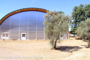Viterbo - La palestra a santa Barbara
