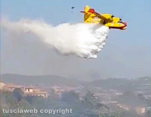 Viterbo - Vastissimo incendio a Sant'Angelo di Roccalvecce - L'intervento dei vigili del fuoco