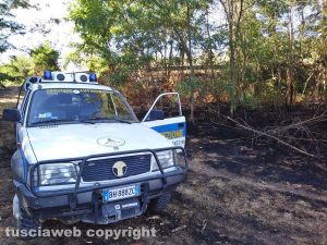 Incendio di sterpaglie - L'intervento della protezione civile