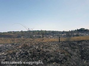 Incendio tra Farnese e Ischia di Castro