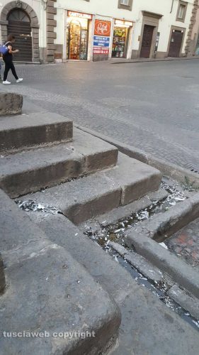 Viterbo - Sporcizia a piazza Fontana grande