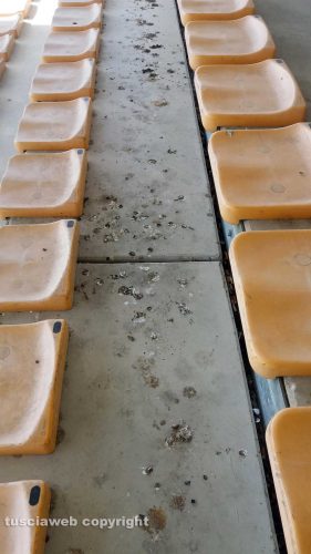 Le tribune dell'Enrico Rocchi sporche di sterco