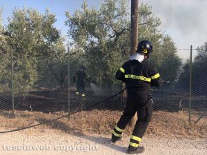 Incendio in strada Incendio di sterpaglie - L'intervento dei vigili del fuoco