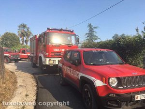 Viterbo - L'incendio tra Ponte di Cetti e lo svincolo della superstrada