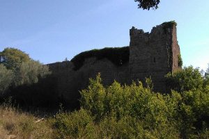 Sport - Mountain bike - La passeggiata dell'Asd Pedale etrusco Blera