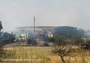 Viterbo - Incendio strada del Diavolo