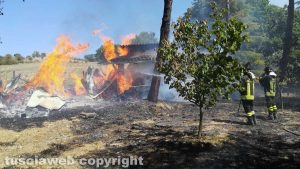 Orte - Incendio in località Petignano