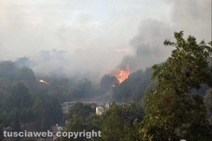 Incendio tra Farnese e Ischia di Castro