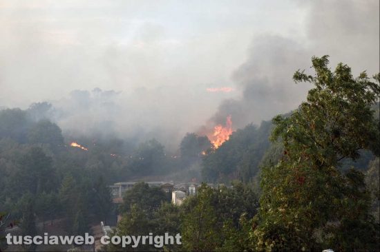 Incendio tra Farnese e Ischia di Castro
