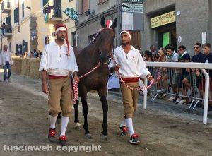 Lady Nine - La cavalla di Case Nove