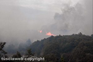 Incendio tra Farnese e Ischia di Castro