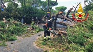 Roma - Pino crolla sulla Cassia