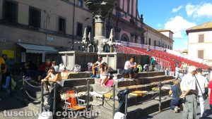 Viterbo – Santa Rosa – L’attesa lungo il percorso