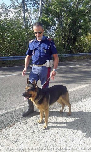 Viterbo - Poliziotti salvano pastore tedesco sulla Cimina