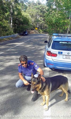 Viterbo - Poliziotti salvano pastore tedesco sulla Cimina