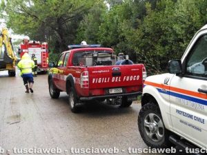 Tarquinia - Pino caduto nei pressi della Polveriera Tarquinia - Pino caduto nei pressi della Polveriera 