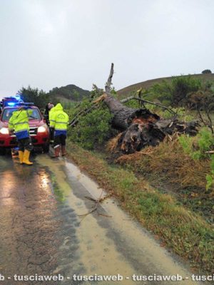 Tarquinia - Allagamenti e disagi per il maltempo 