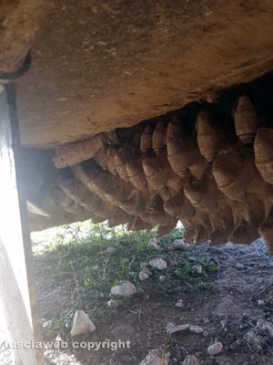 Ordigno bellico ritrovato sulla Tuscanese 