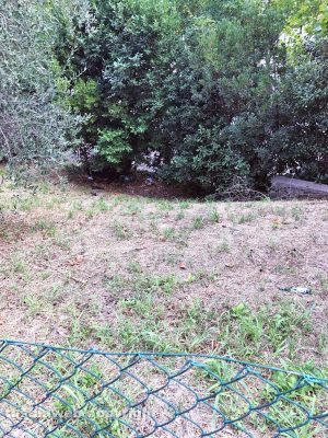 Viterbo - Degrado in un campo di via Amedeo Cerasa