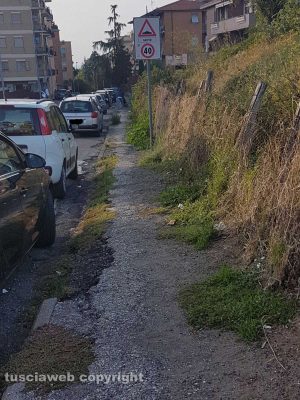 Viterbo - Degrado tra via Monti Cimini e Via Monte Sacro
