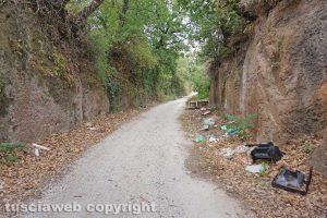 Rifiuti in strada Riello